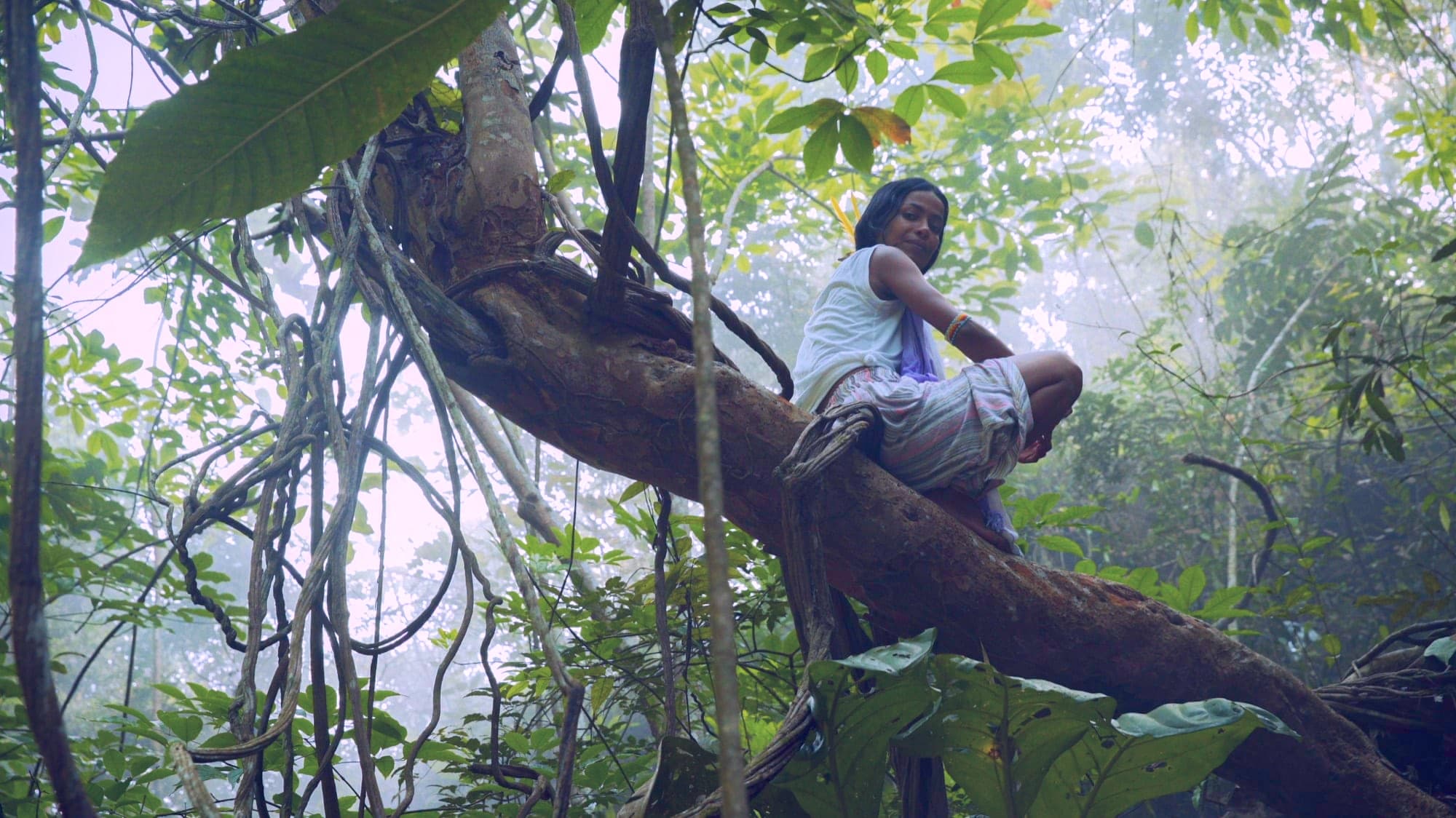 A retreat circle gathered in the rainforest